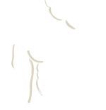 Beeldmerk-ProFit Performance